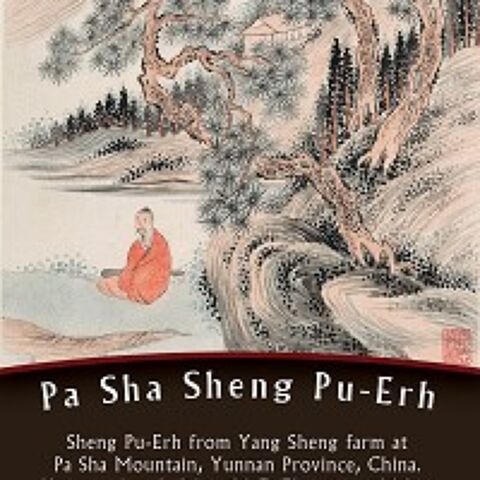 PA SHA SHENG PU-ERH