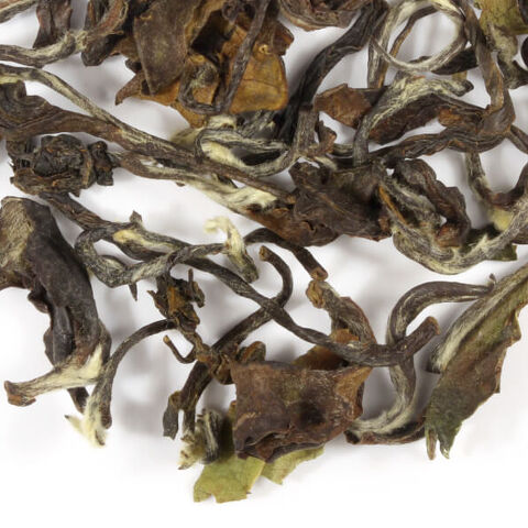 formosa fancy bai hao formosa fancy bai hao