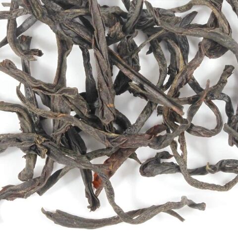 Formosa Ruby 18 Black Formosa Ruby 18 Black