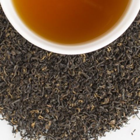 BLACK SNAIL 2014 BLACK SNAIL 2014