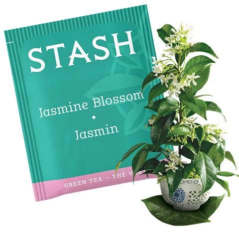 Jasmine Blossom Green Tea