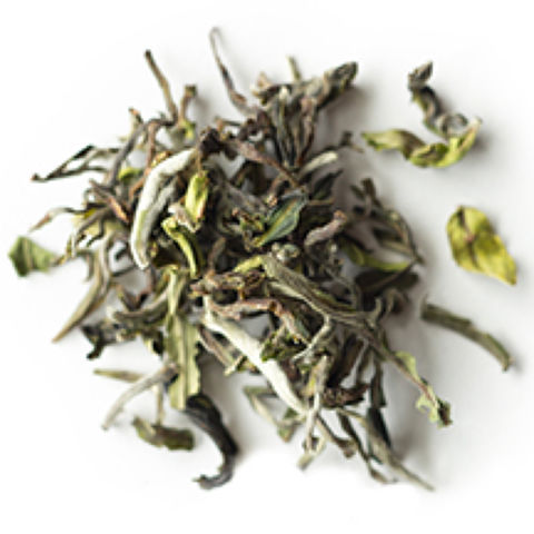 Himalayan Spring Lot J28 Himalayan Spring Lot J28